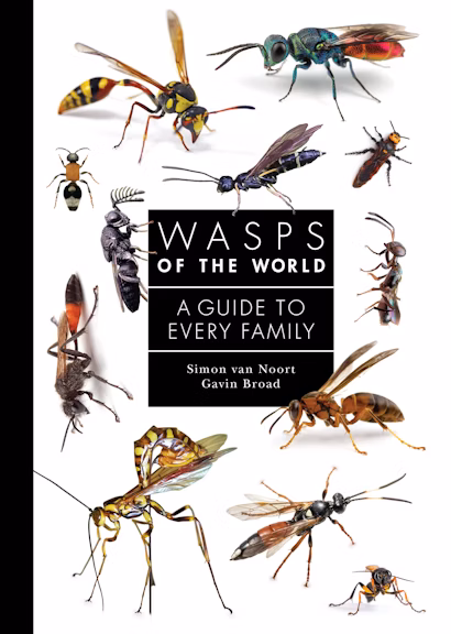 Wasps of the World Simon van Noort Gavin Broad