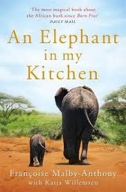 ENG: ELEPHANT IN MY KITCHEN PB