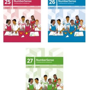 NUMBER SENSE COMPREHENSIVE SET 25 - 27