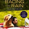ART OF RACING IN THE RAIN