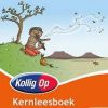 KOLLIG OP AFRIKAANS EERSTE ADDISIONELE TAAL GRAAD 8 LEESBOEK