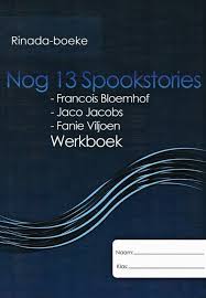 NOG 13 SPOOKSTORIES WERKBOEK