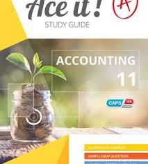 ACE IT! ACCOUNTING GRADE 11