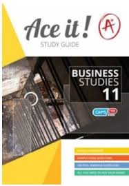 ACE IT! BUSINESS STUDIES GRADE 11