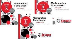 ANS SERIES GR 8 MATHS COMPANION A/BOOK & W/BOOKS (SET)